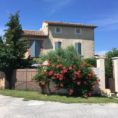 B&B - Le Vieux Figuier-2